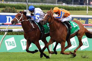 Kolding (NZ) and Te Akau Shark (NZ) fought out the finish of the Group 1 Epsom at Randwick. 